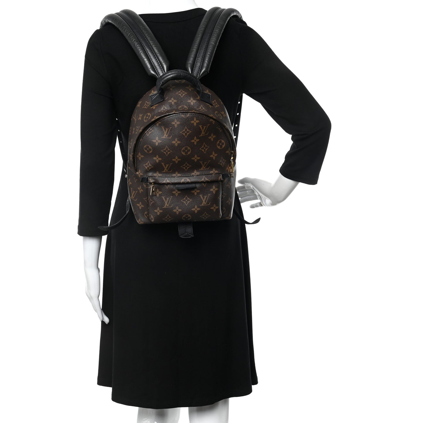 Monogram Palm Springs Backpack PM