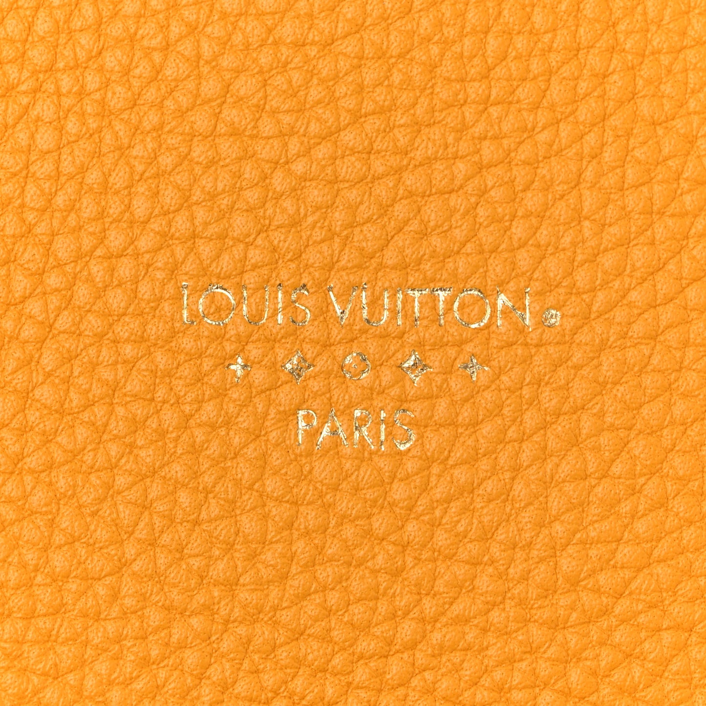 Grained Calfskin LV Pont 9 Soft PM Sunbeam
