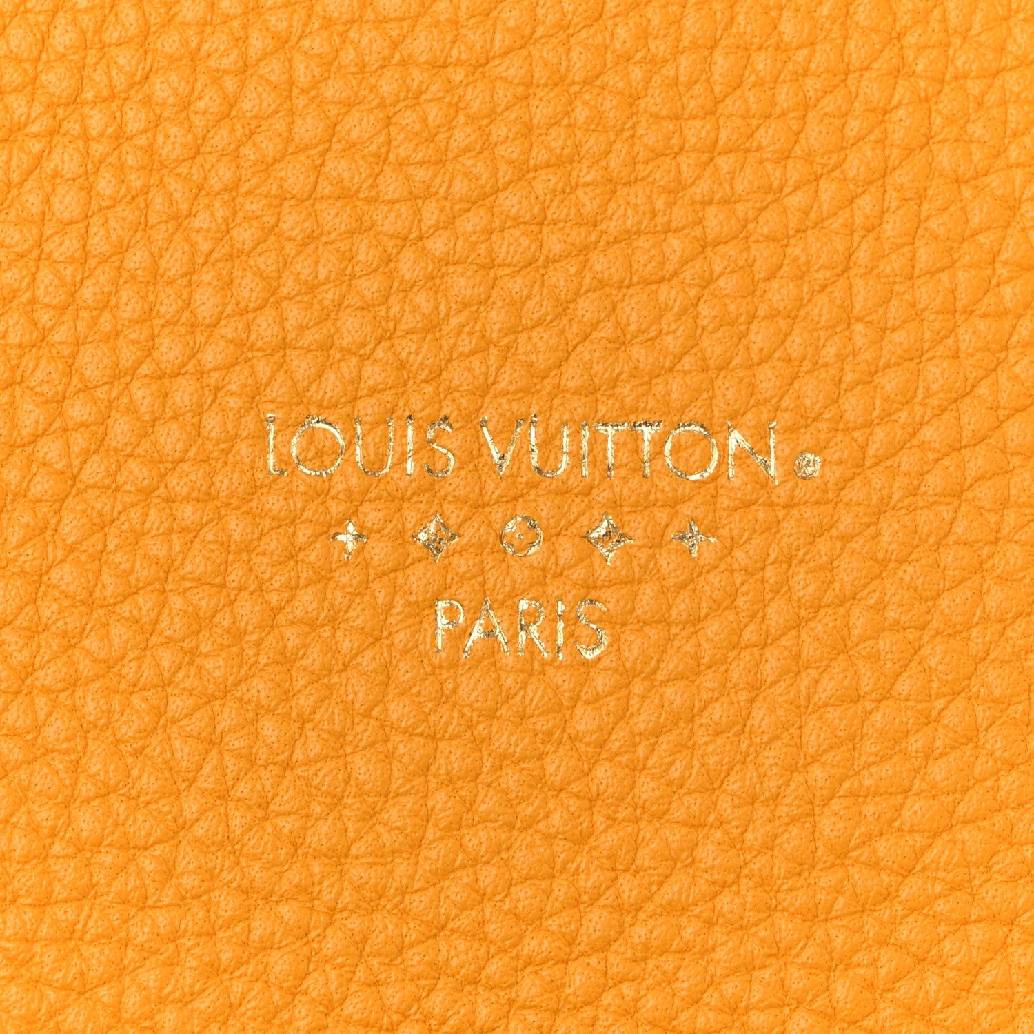 Louis Vuitton Grained Calfskin LV Pont 9 Soft PM Sunbeam 6 of 11