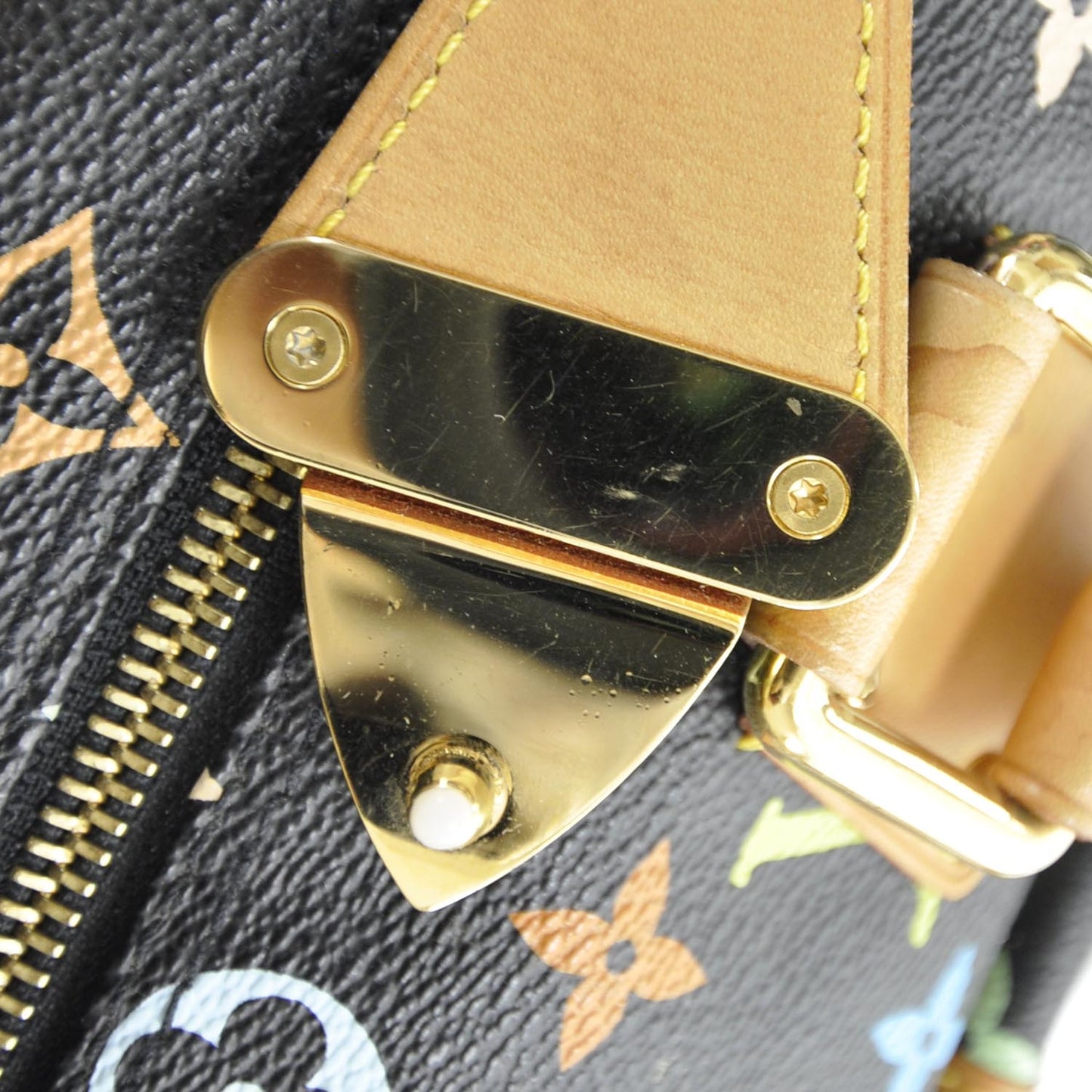 Monogram Multicolor Speedy 30 Black