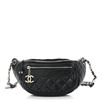 Chanel Aged Calfskin Quilted Waist Bag With Coin Purse Black 3 of 15