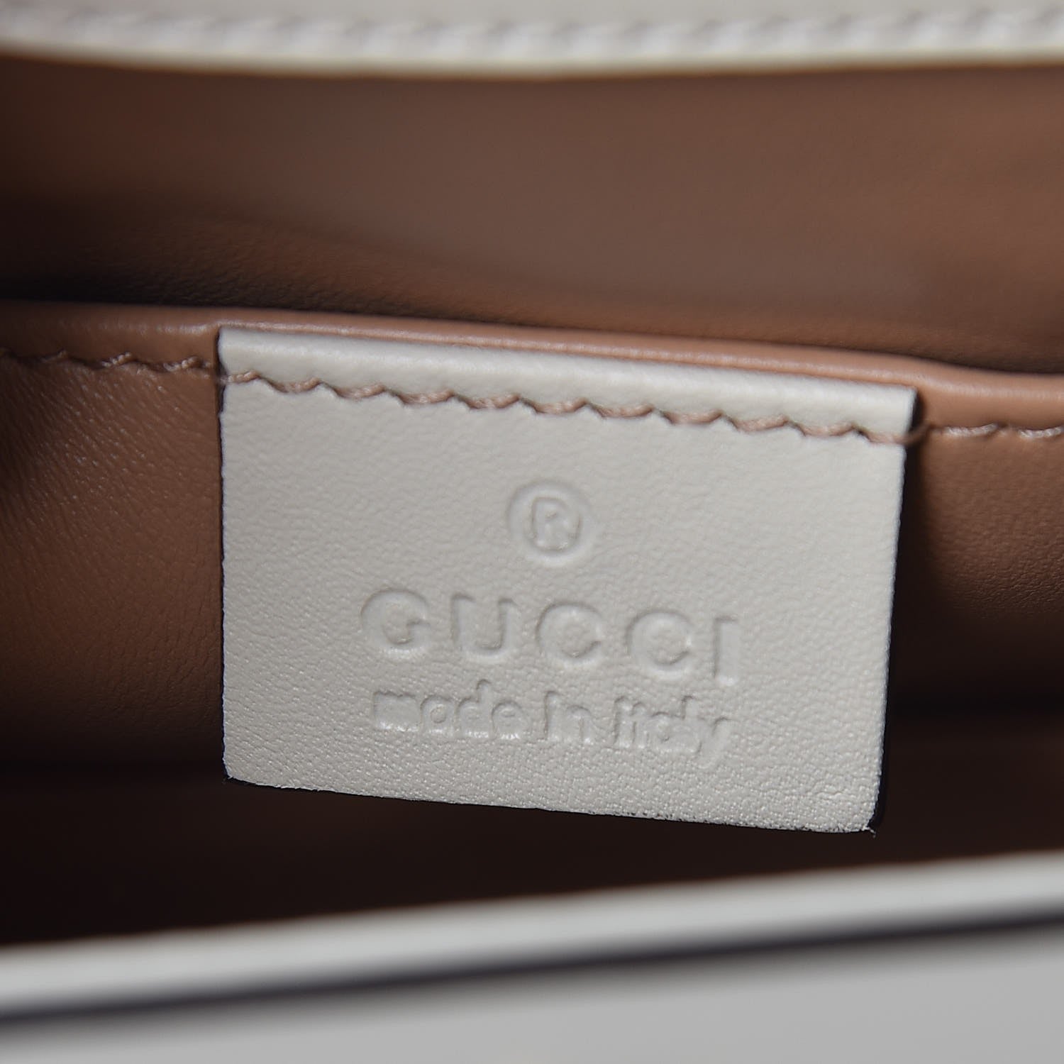 P.gqgq  Queen F305(本日まで) ビカクシダ P.gqgq Queen Yahoo!オークション - P. 'gqgq