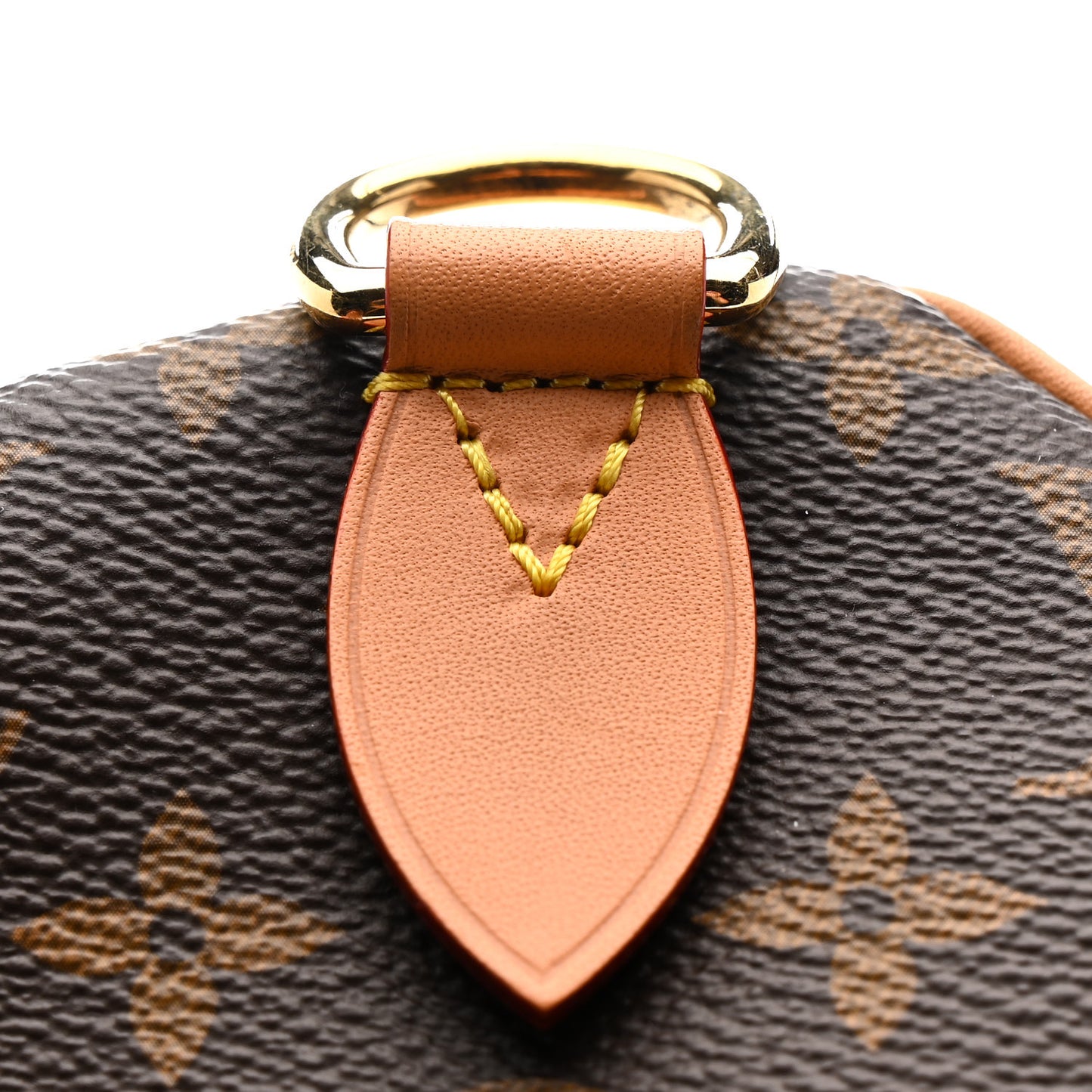 Monogram Speedy Soft Crafty 30