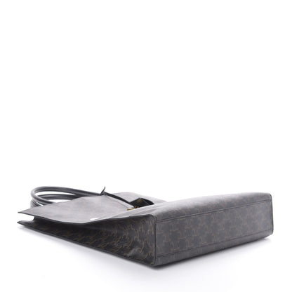 Celine Triomphe Canvas Calfskin Large Vertical Cabas Black 4 of 9