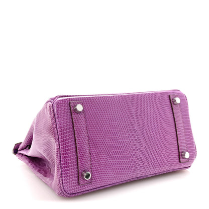 Hermes Lizard Birkin 25 Violet 4 of 10