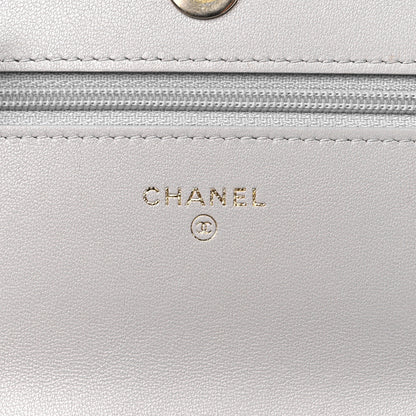 Chanel Lambskin Quilted Chanel 19 Wallet On Chain WOC Grey 5 of 14