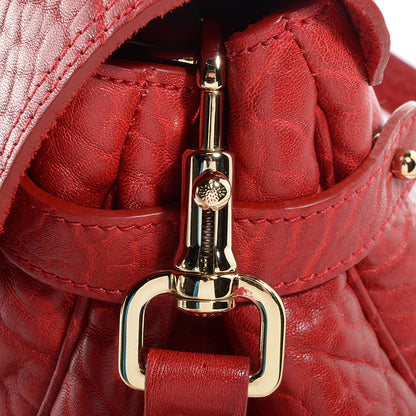 Mulberry Shrunken Calfskin Medium Alexa Poppy Red 6 of 14