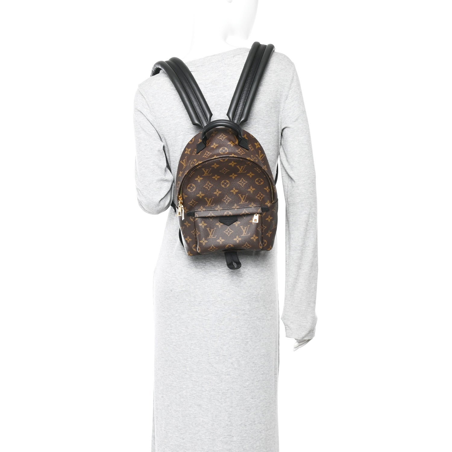 Louis Vuitton Monogram Palm Springs Backpack PM 2 of 10