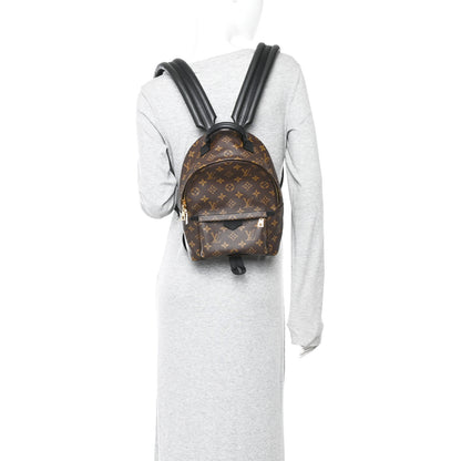 Louis Vuitton Monogram Palm Springs Backpack PM 2 of 10