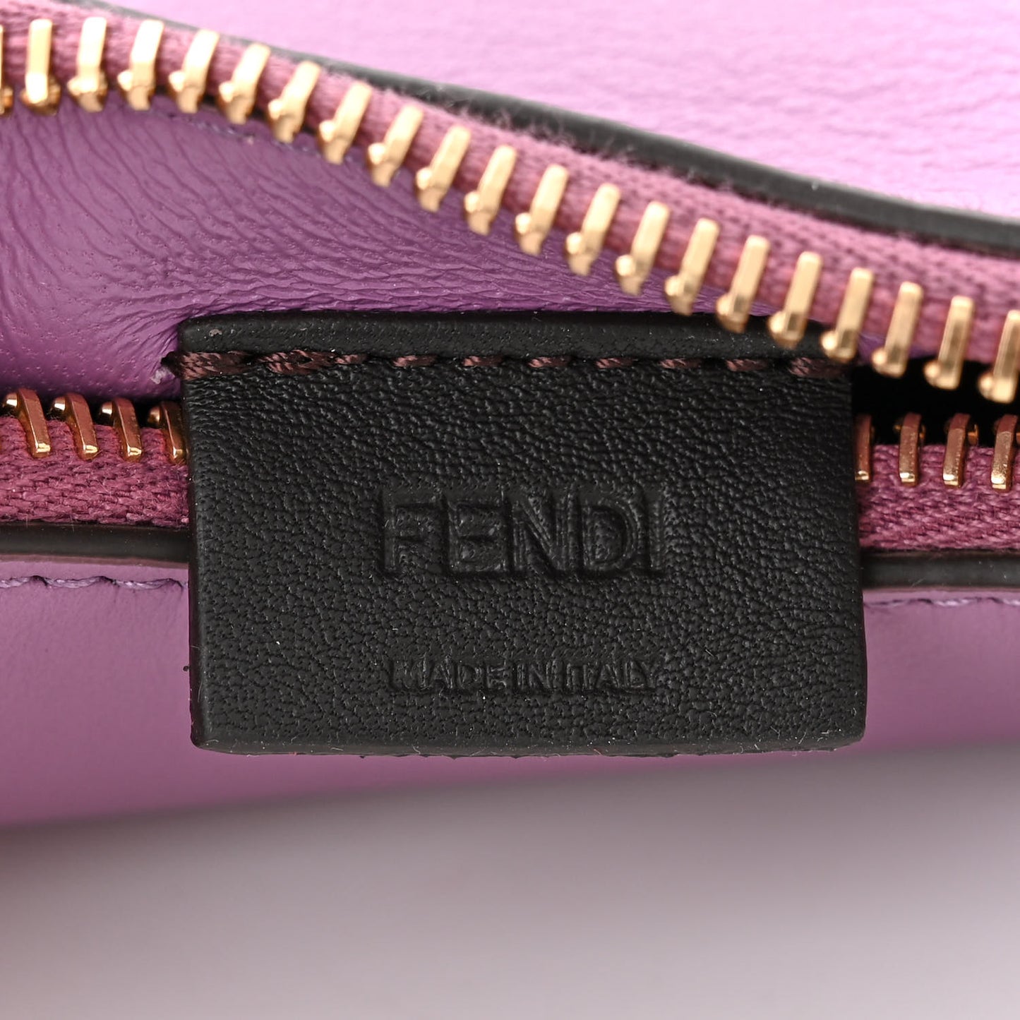 Vitello Grace New Matte Nano Fendigraphy Hobo Charm Agapanto