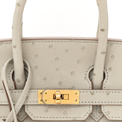 Hermes Ostrich Birkin 25 Gris Perle 8 of 11