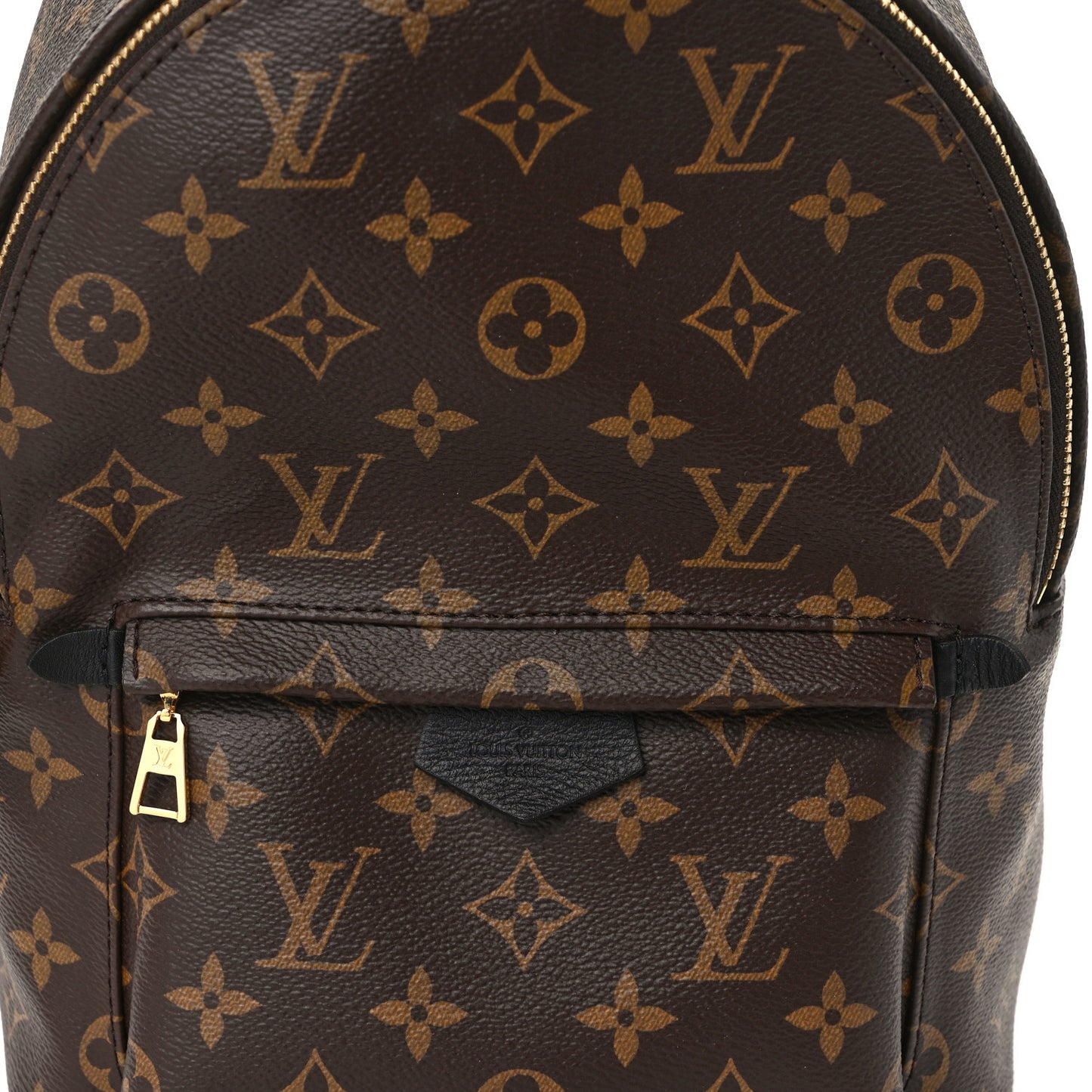 Monogram Palm Springs Backpack PM