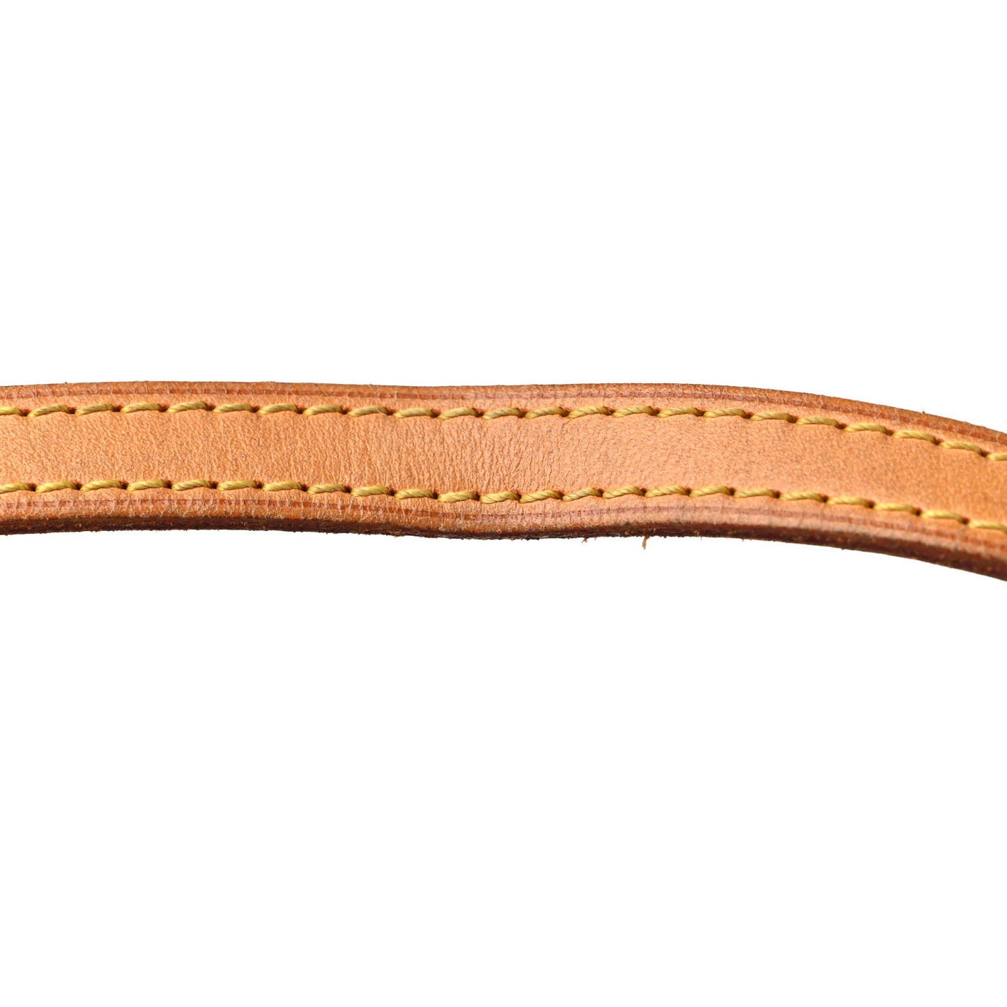 Monogram Papillon 30 with Companion