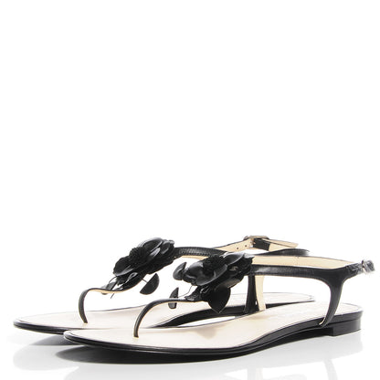 Chanel Lambskin Camellia Thong Sandals 41 11 Black 10 of 14