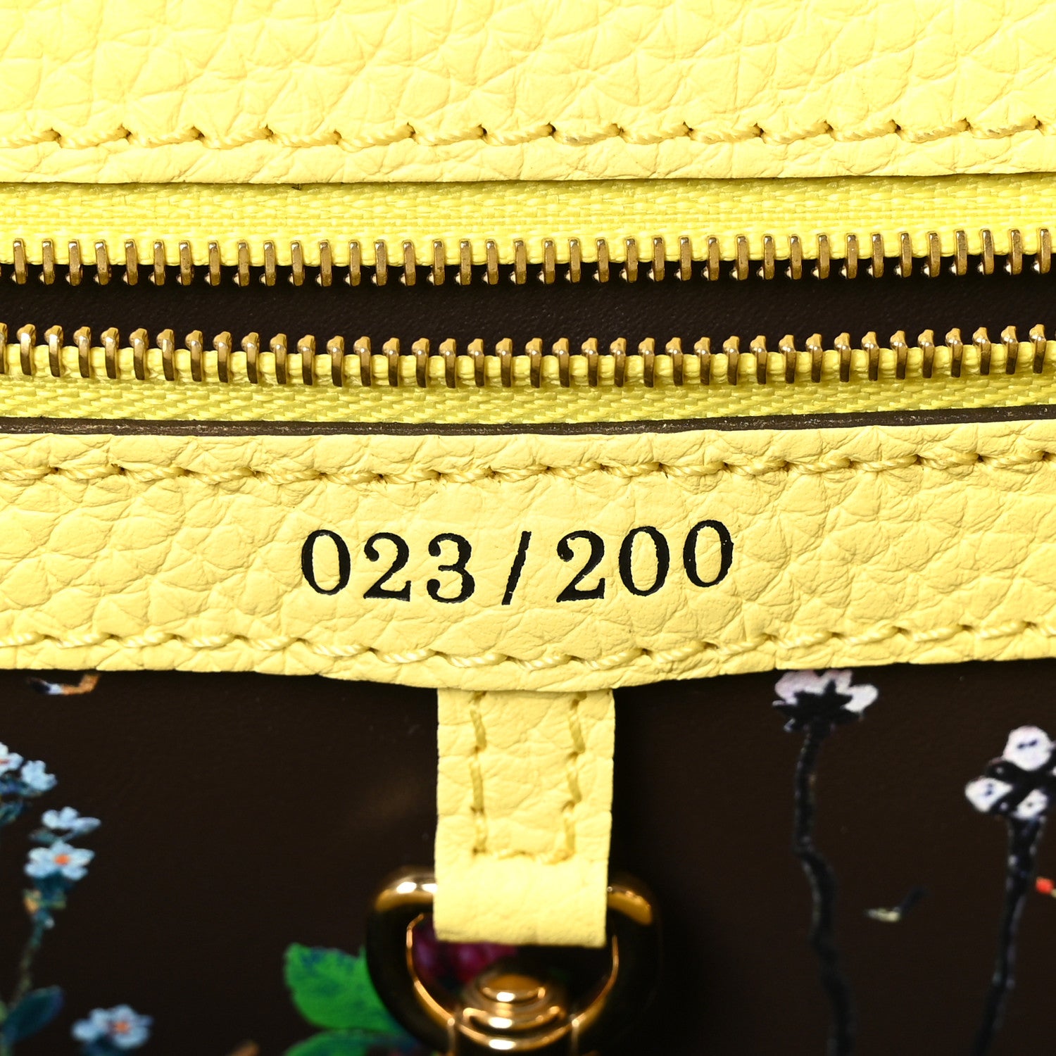 Louis Vuitton Taurillon Embroidered Tenderness Capucines MM Yellow Multicolor 7 of 10