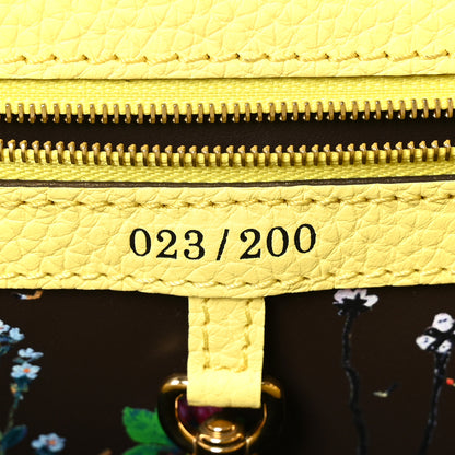 Louis Vuitton Taurillon Embroidered Tenderness Capucines MM Yellow Multicolor 7 of 10