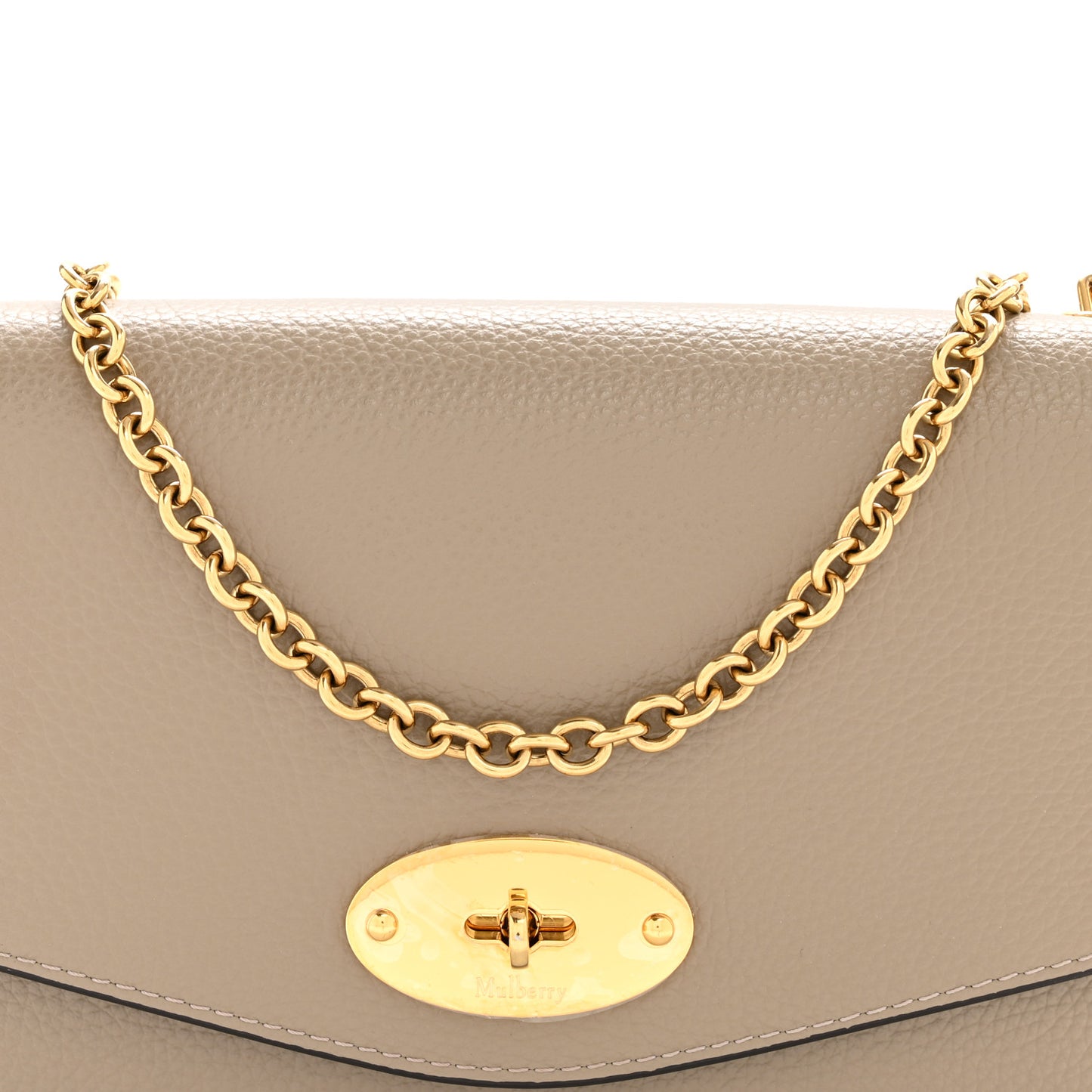 Small Classic Grain Calfskin Small Darley Clay