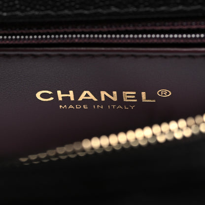 Chanel Caviar Lizard Quilted Medium Coco Handle Flap Black 6 of 10