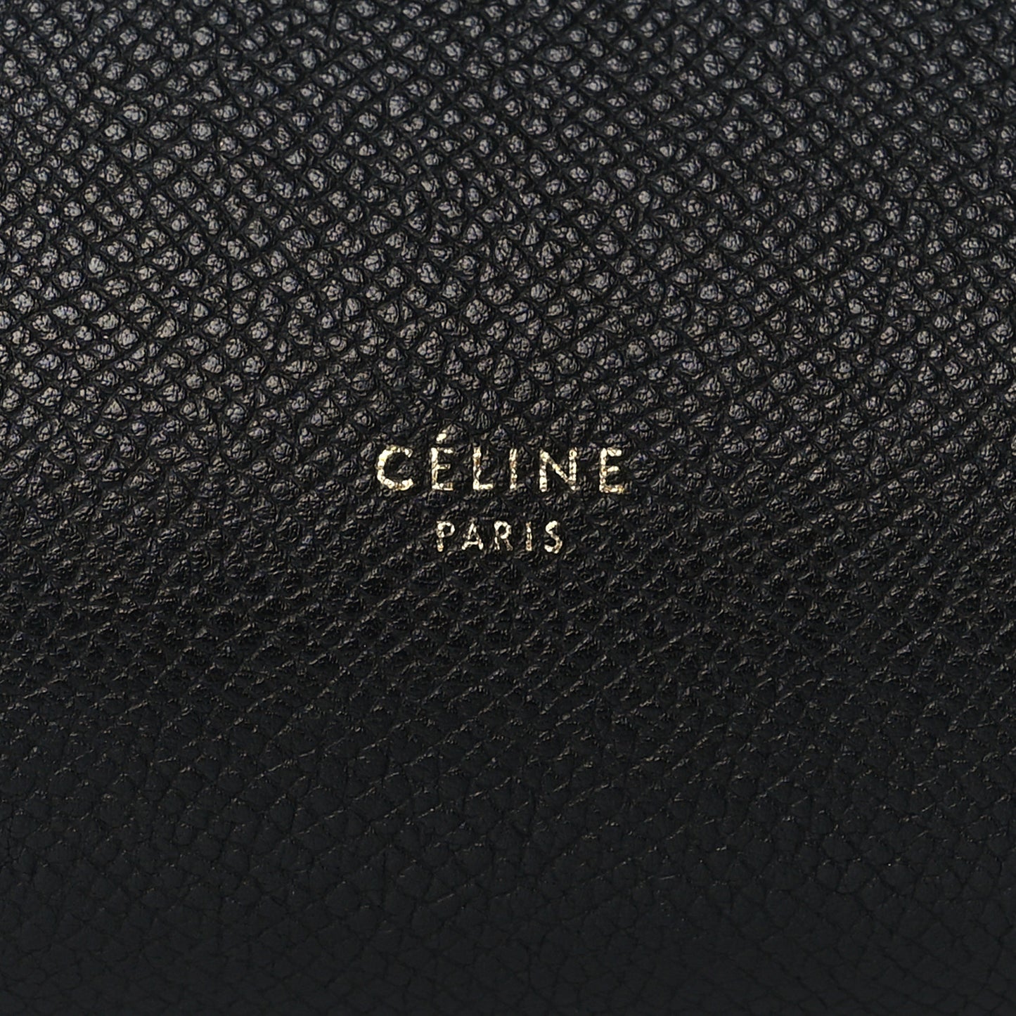 Grained Calfskin Mini Belt Bag Black