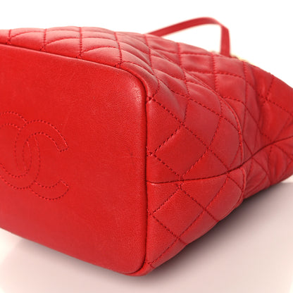 Chanel Lambskin Quilted Small Hobo Red 9 of 10