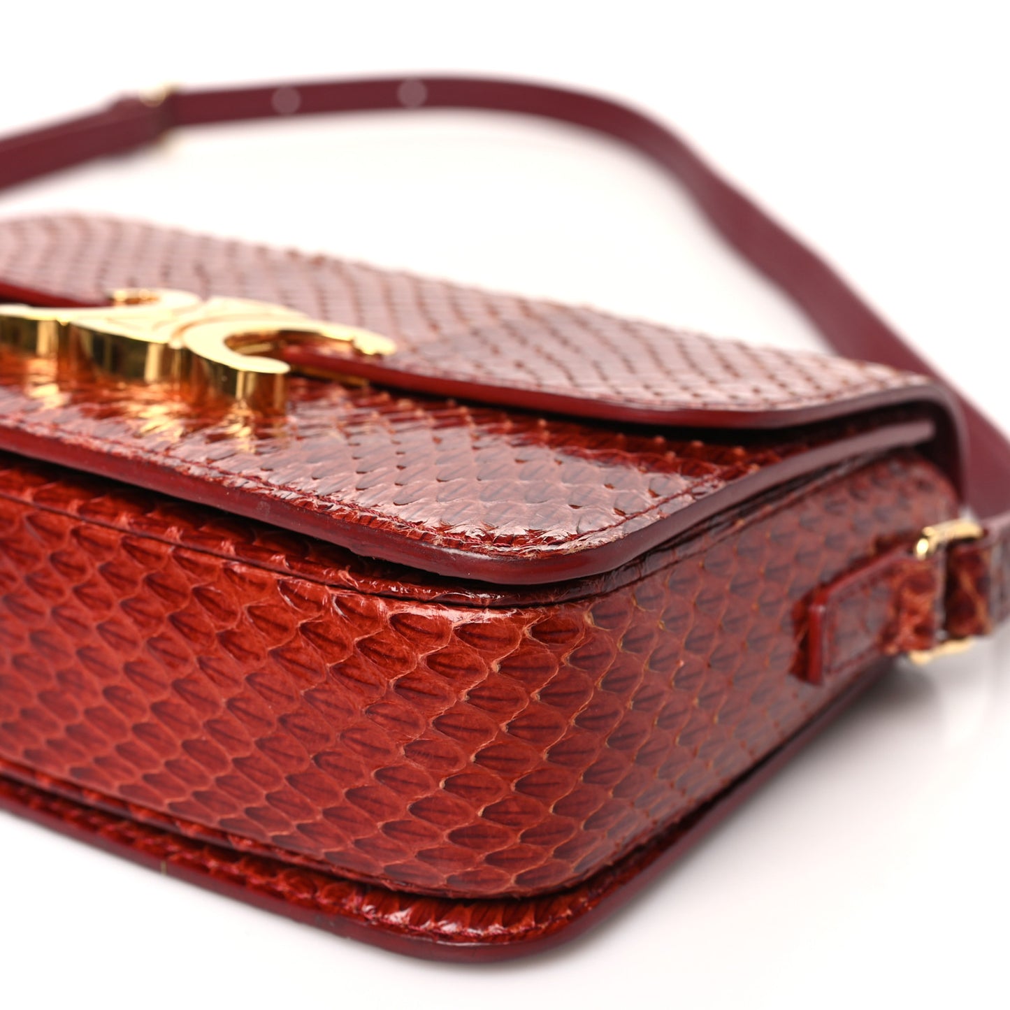 Watersnake Teen Triomphe Ruby