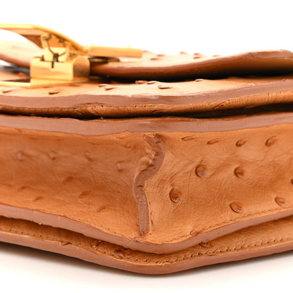 Celine Ostrich Small Classic Box Flap Bag Camel 10 of 16