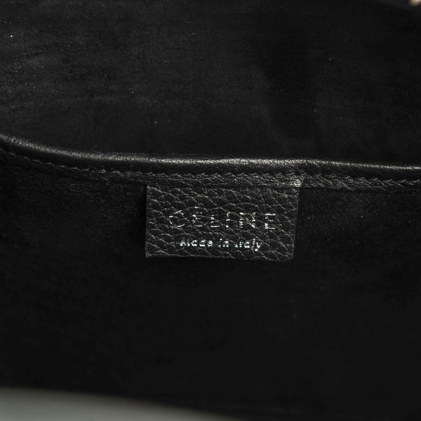 Drummed Calfskin Nano Luggage Black