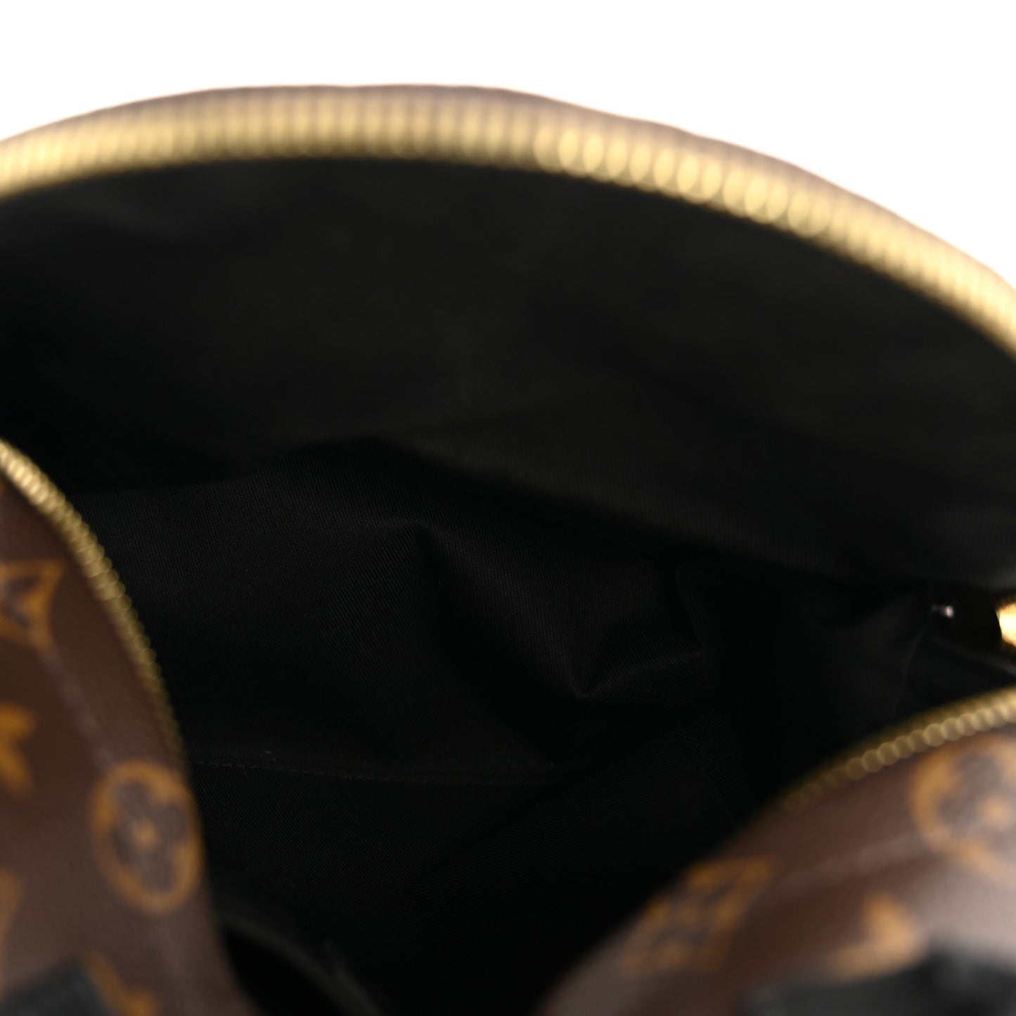 Monogram Palm Springs Backpack PM