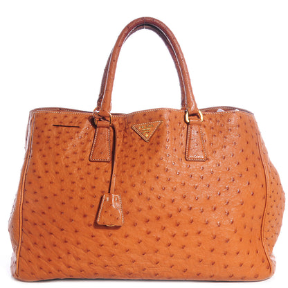 Prada Ostrich Executive Tote Cognac 1 of 12