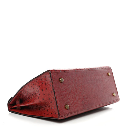 Hermes Ostrich Kelly Sellier 28 Rouge H 3 of 15