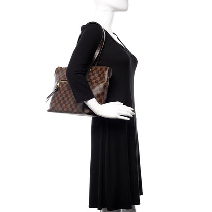 Louis Vuitton Damier Ebene Iena PM 2 of 12