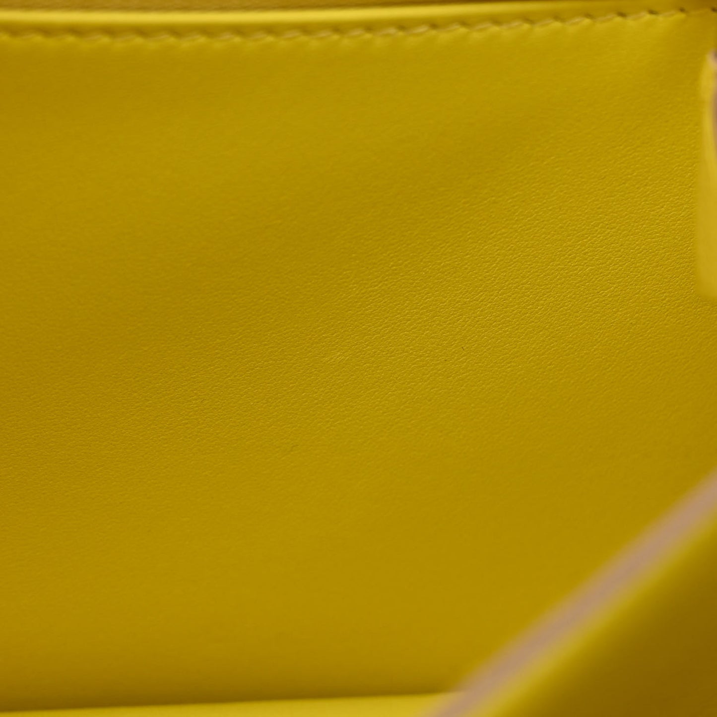 Evercolor Constance 24 Lime