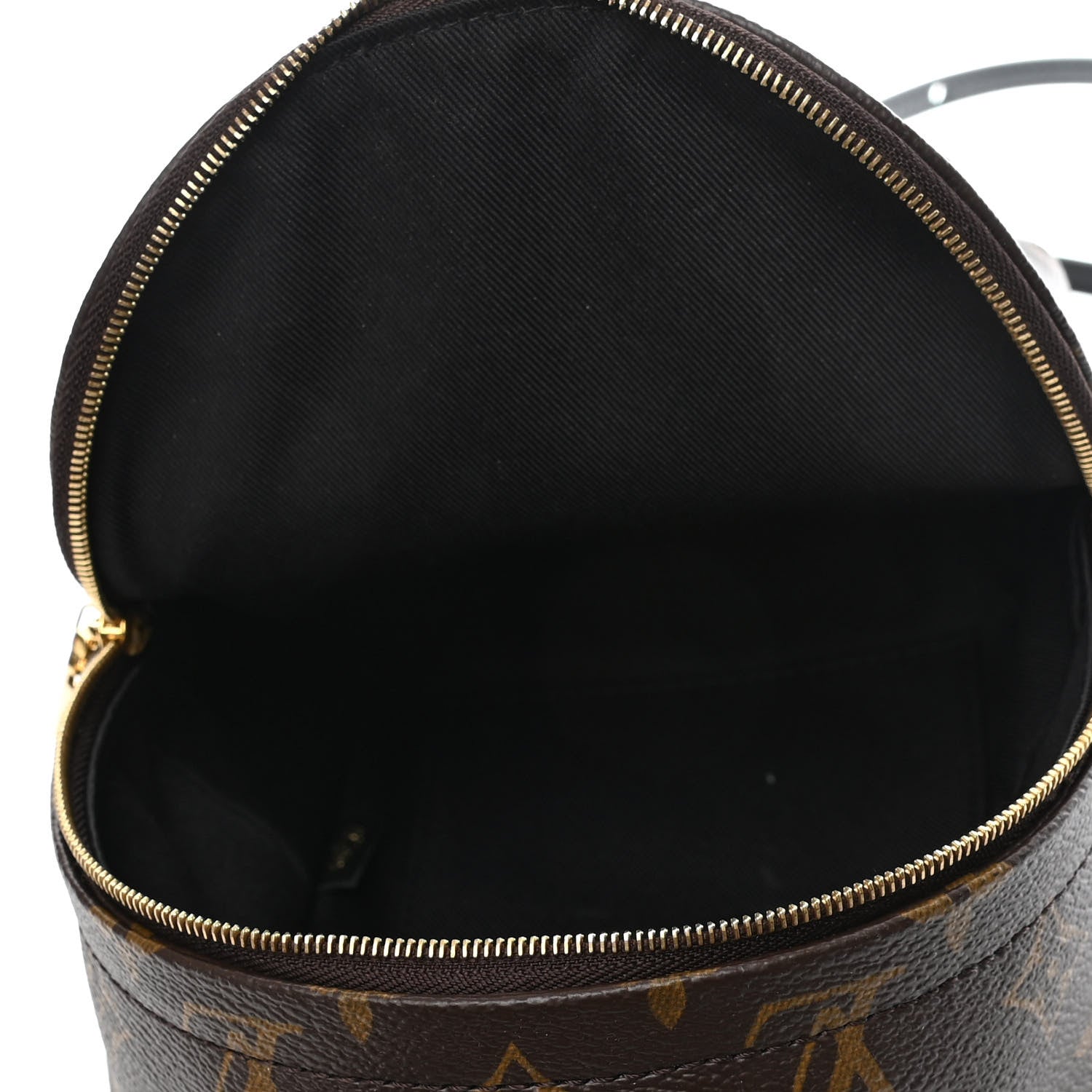 Louis Vuitton Monogram Palm Springs Backpack Mini 4 of 4