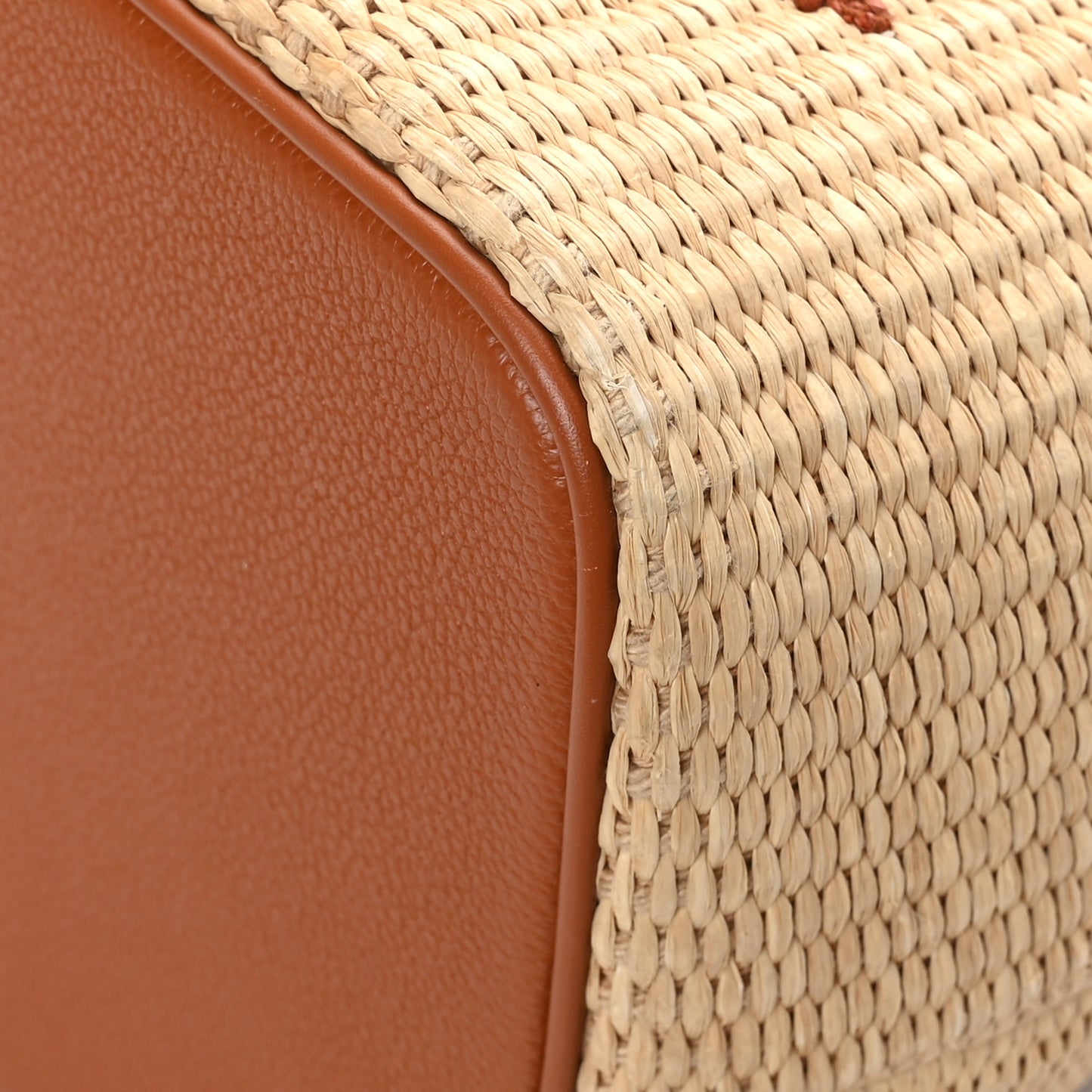 Raffia Calfskin Monogram Neonoe MM Tan
