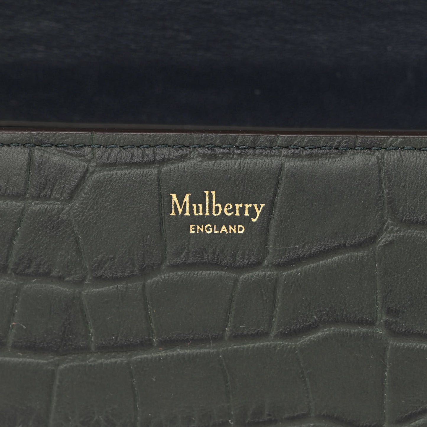 Crocodile Embossed Calfskin Small Darley Satchel Green