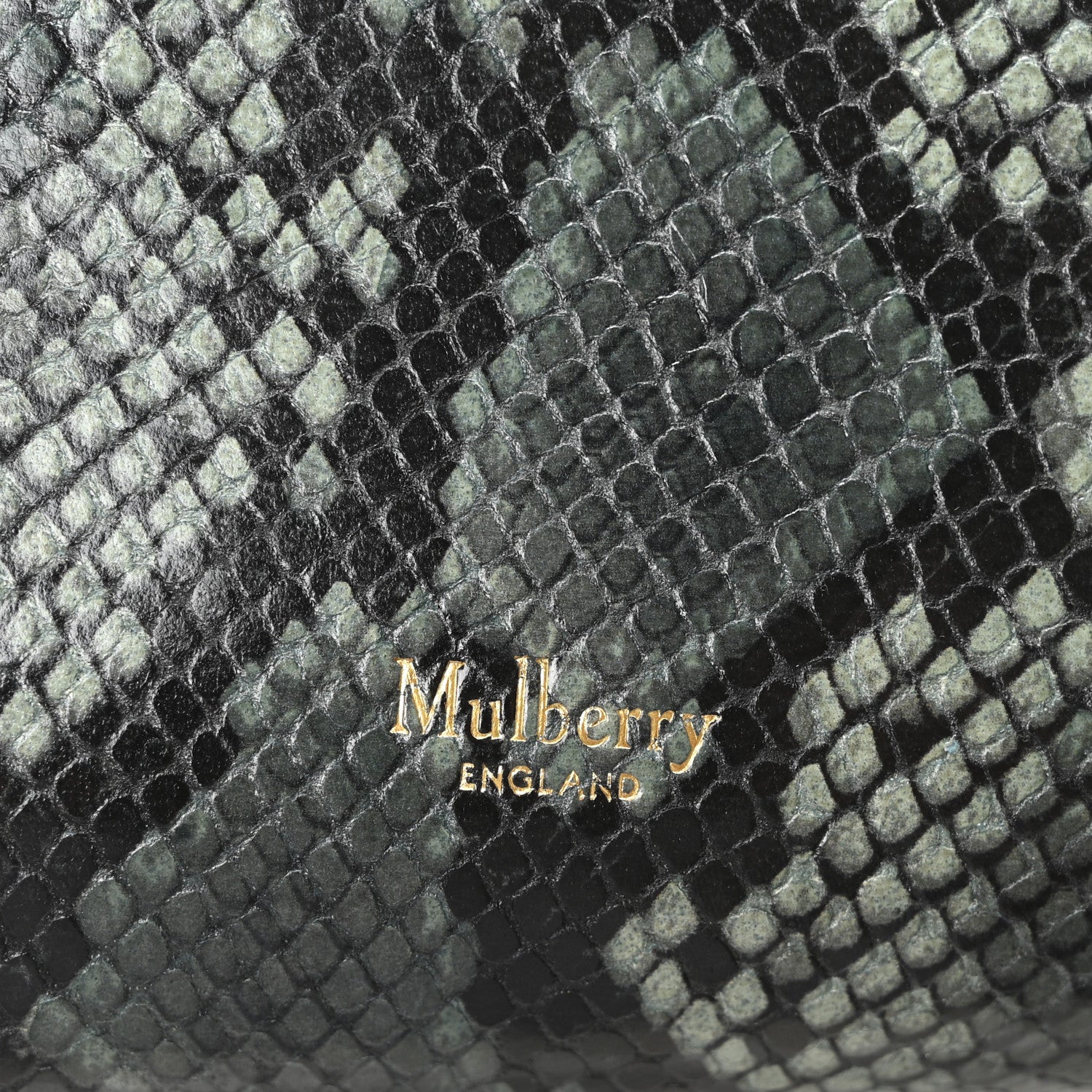 Mulberry Snakeskin Suede Iris Tote Green 6 of 10