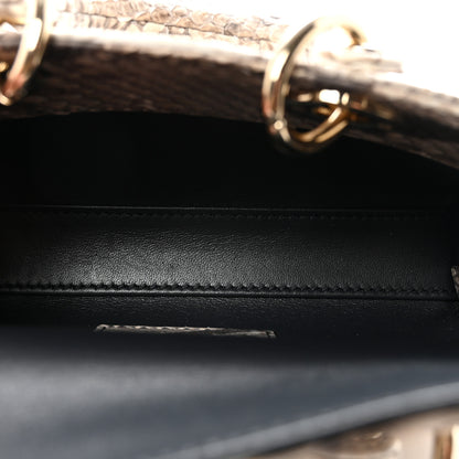 Christian Dior Snakeskin Micro Lady D-Joy Grey 4 of 9