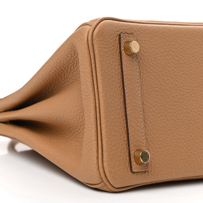 Hermes Togo Birkin 25 Biscuit 9 of 11