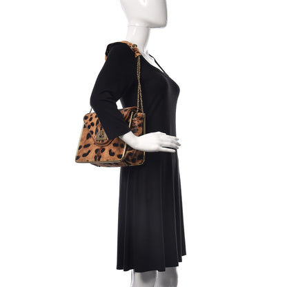 Chloe Calf Hair Leopard Print Medium Sally Flap Bag 2 of 14