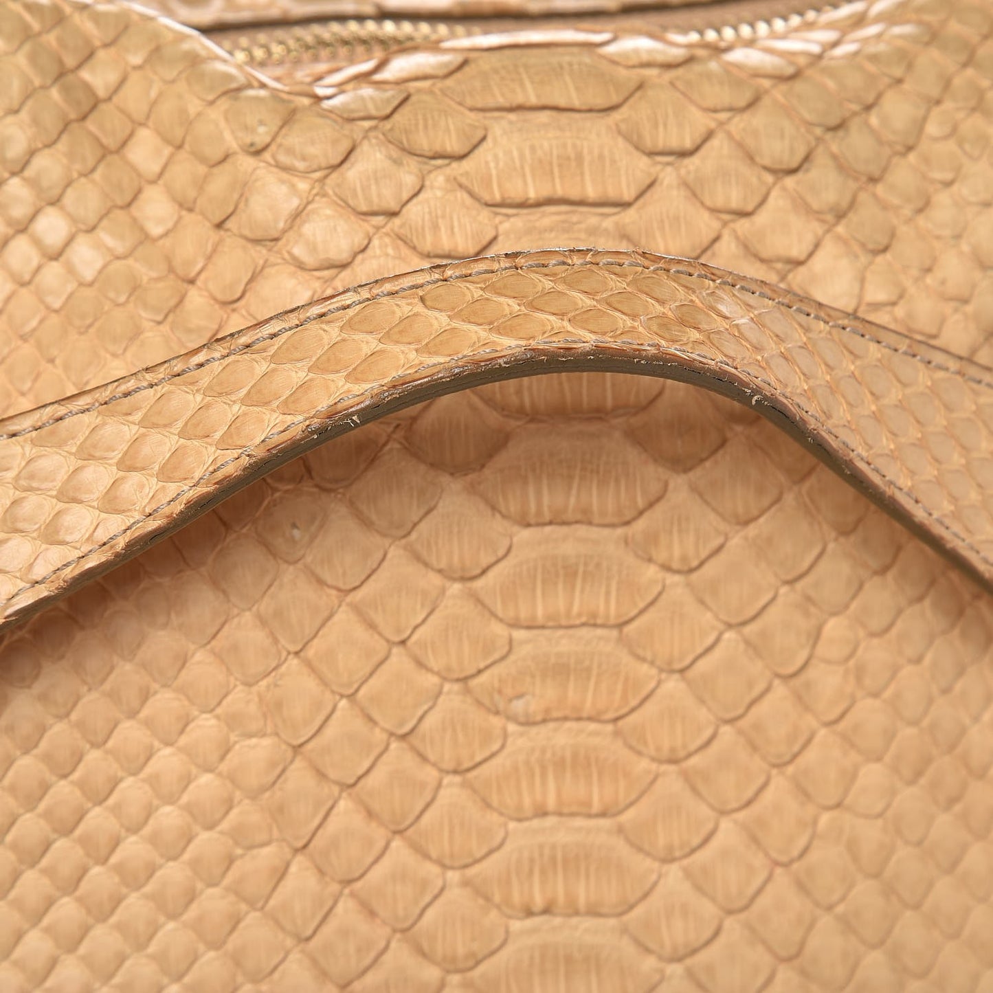 Python Large Paraty Natural