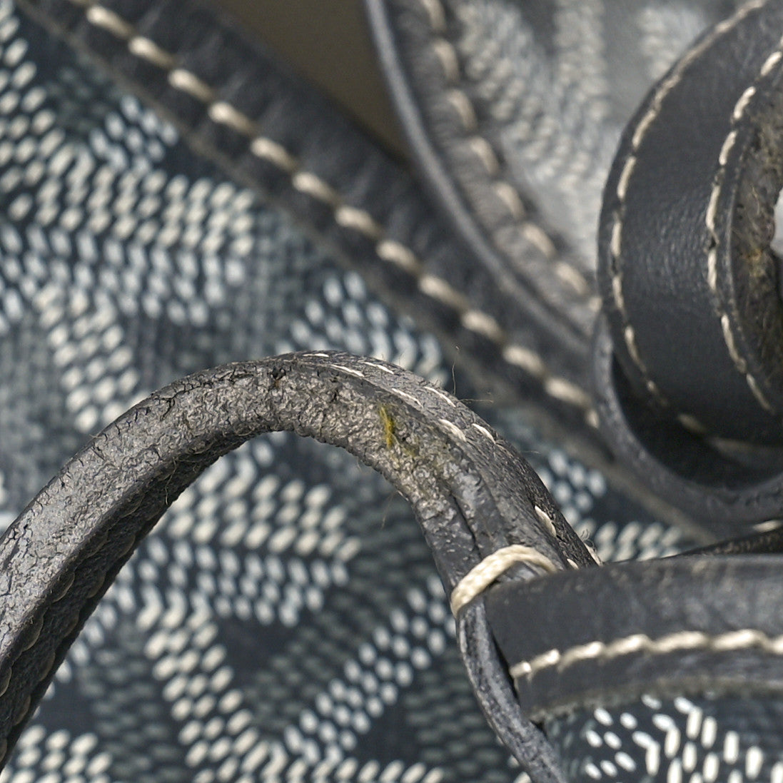 Goyard Goyardine Saint Louis PM Grey 13 of 13
