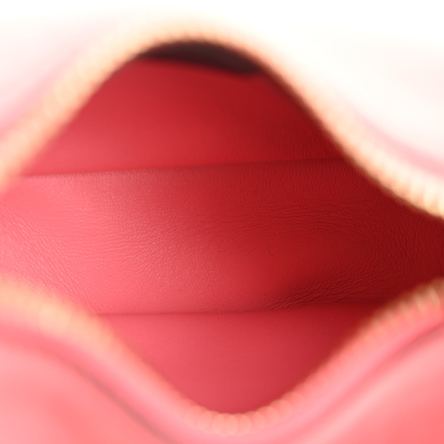 Vitello Grace New Matte Nano Fendigraphy Hobo Charm Pink Dalia