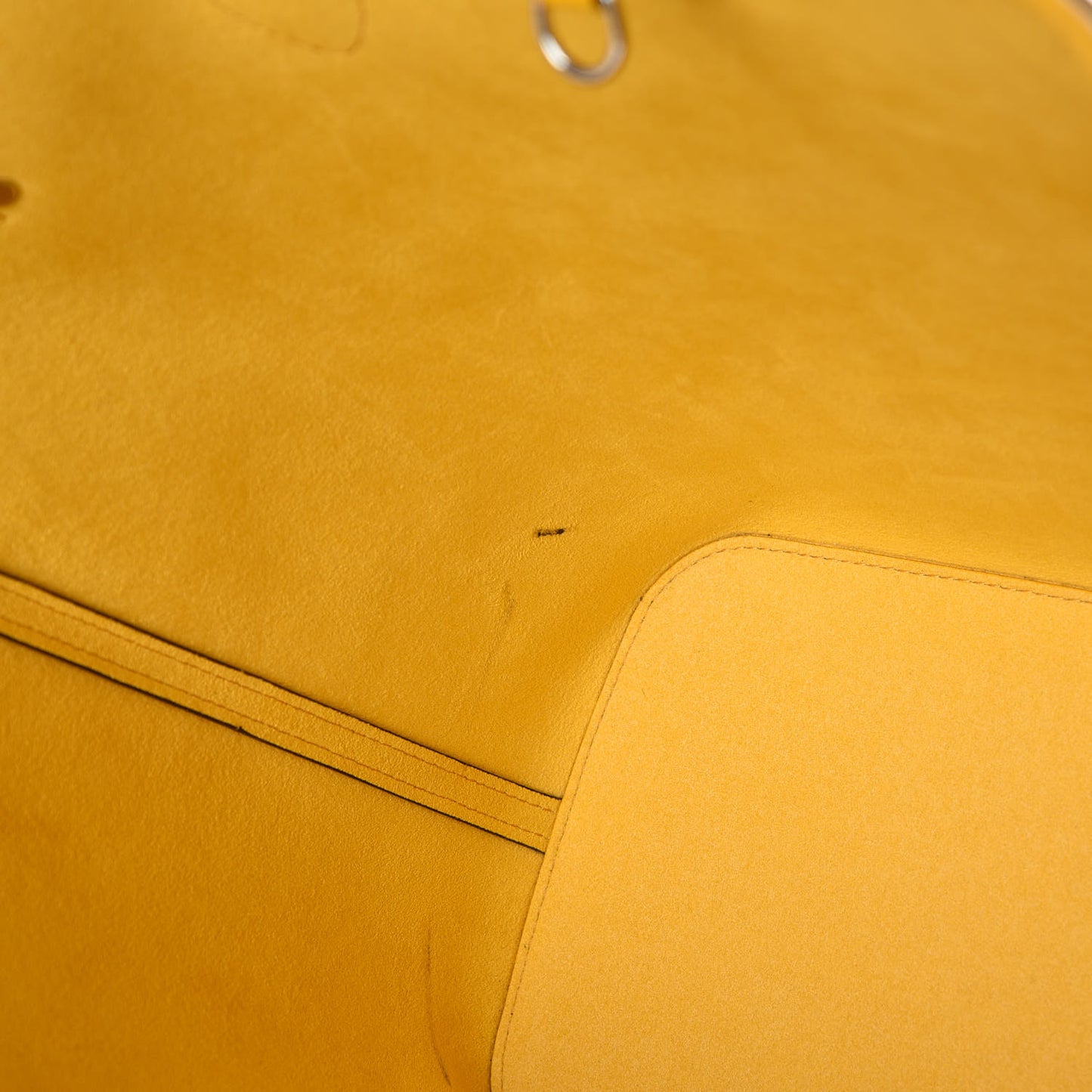 Epi Neverfull MM Mimosa