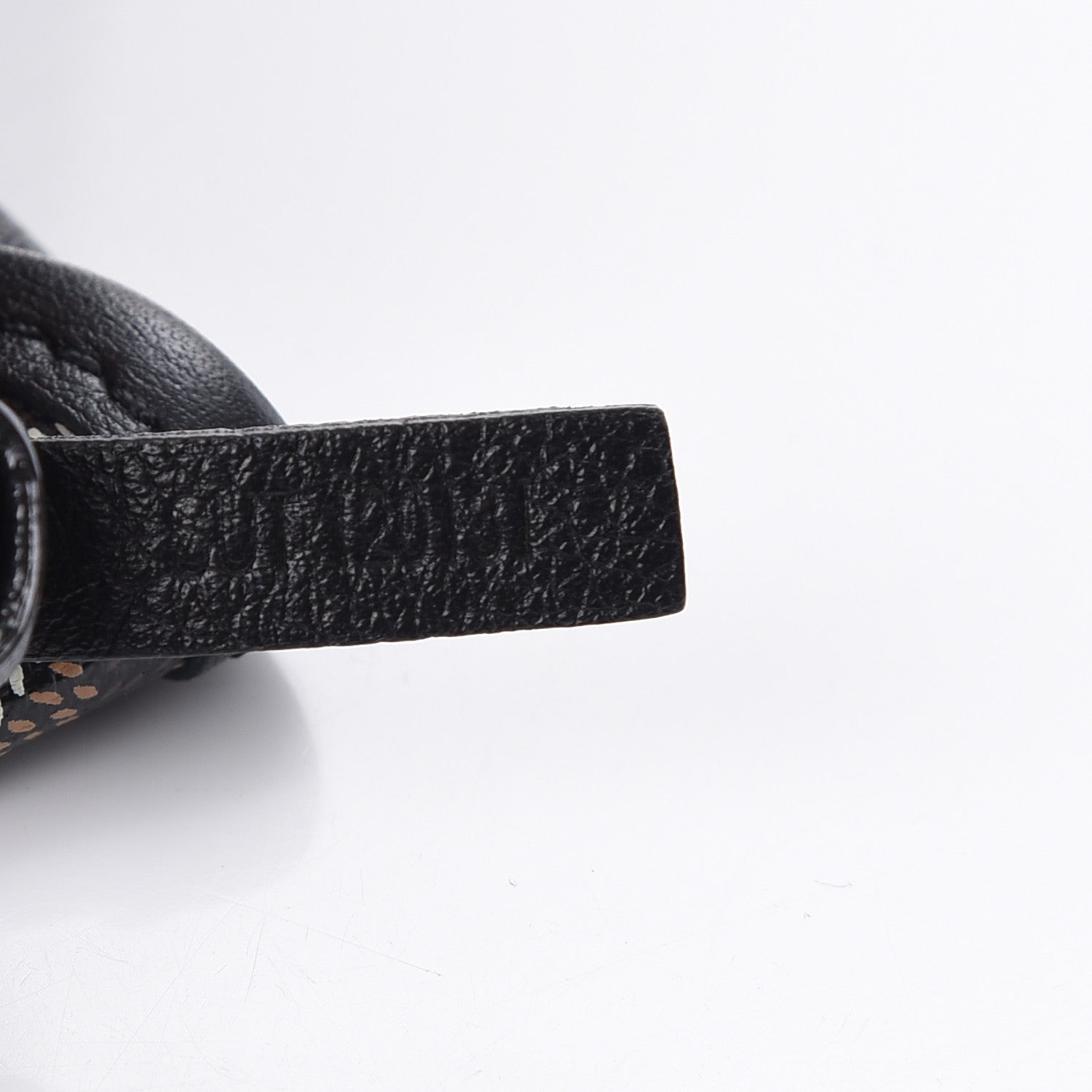 Goyard Goyardine Saint Louis GM Black 10 of 13