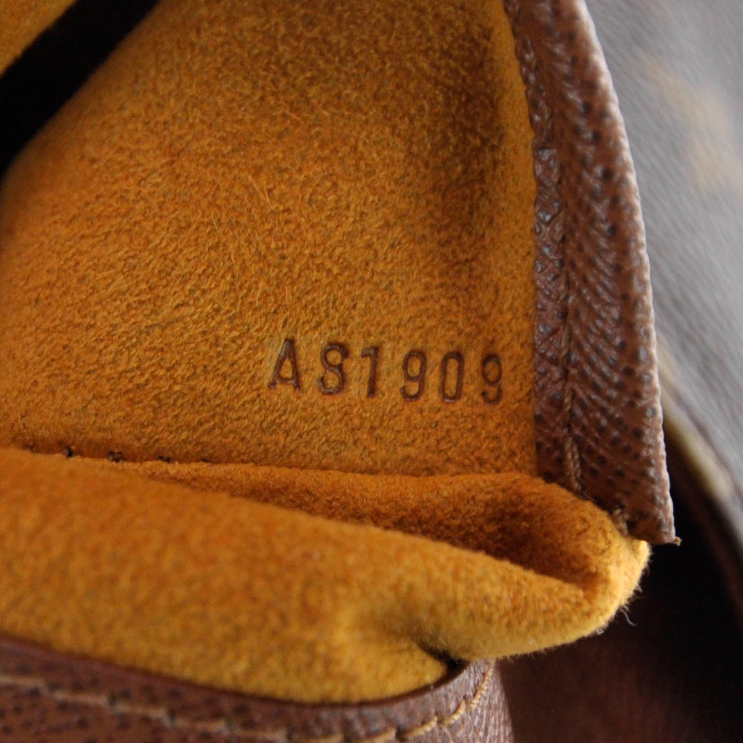 Monogram Musette Salsa