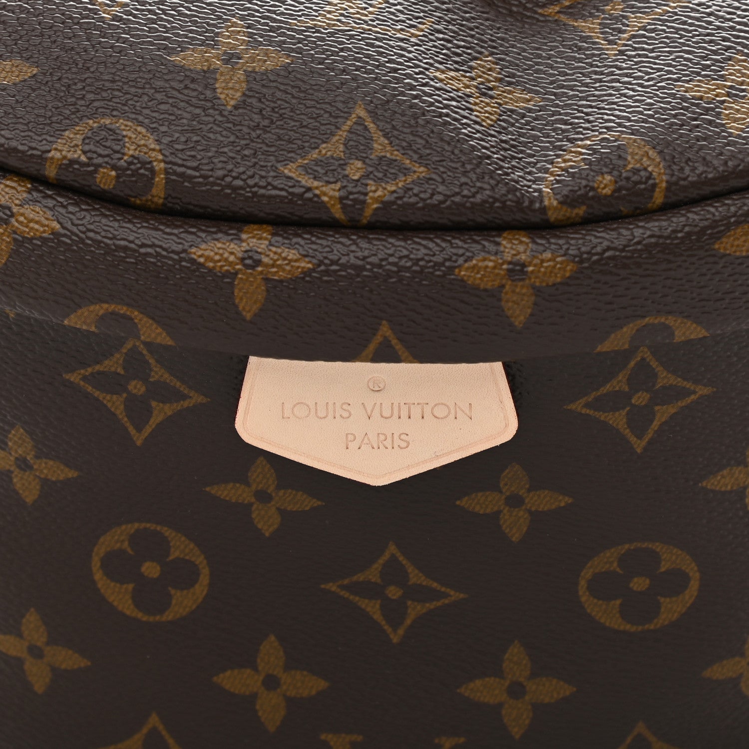 Louis Vuitton Monogram Bumbag 7 of 10