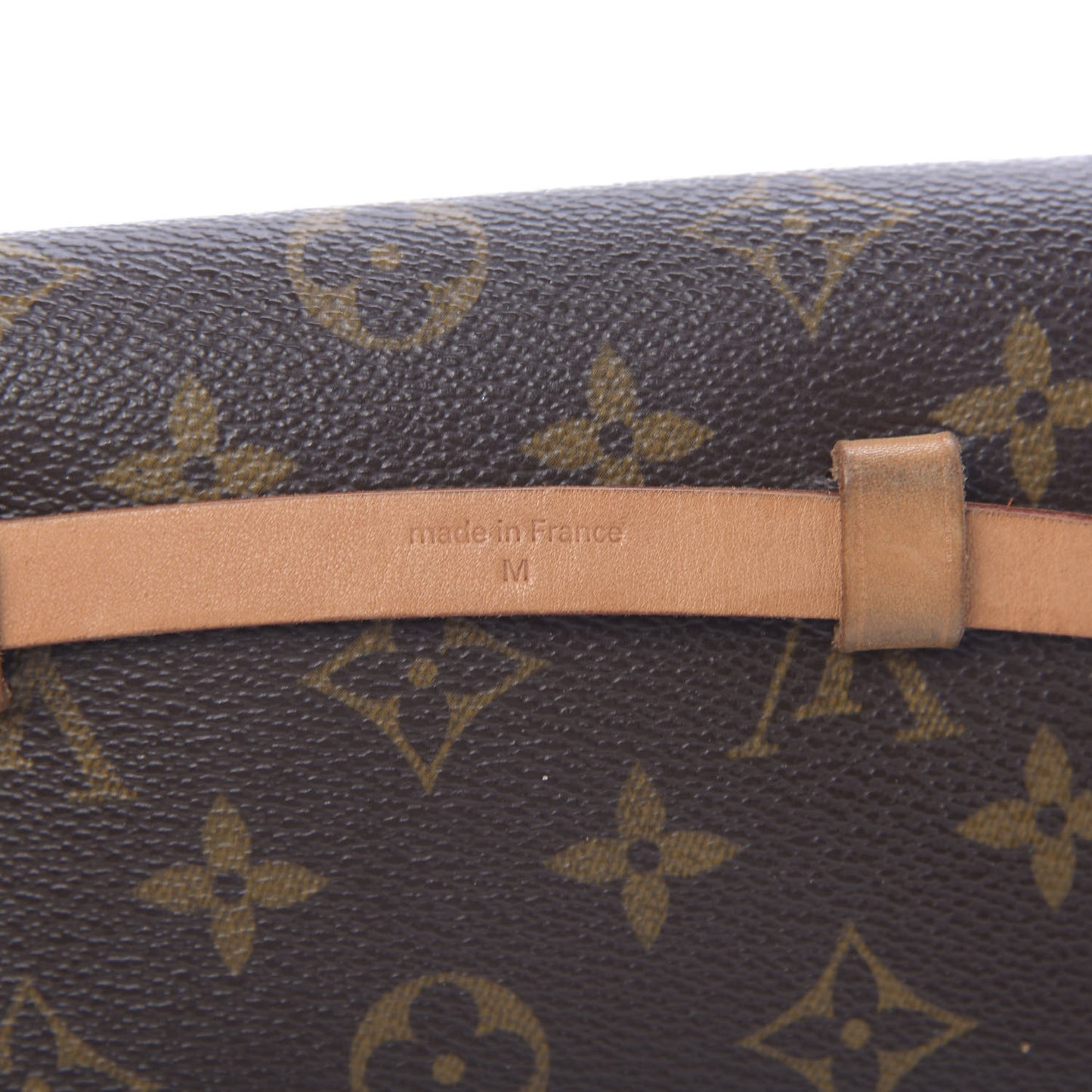 Monogram Pochette Florentine M