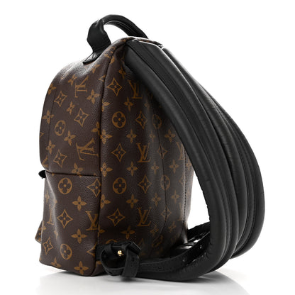 Louis Vuitton Monogram Palm Springs Backpack PM 3 of 11