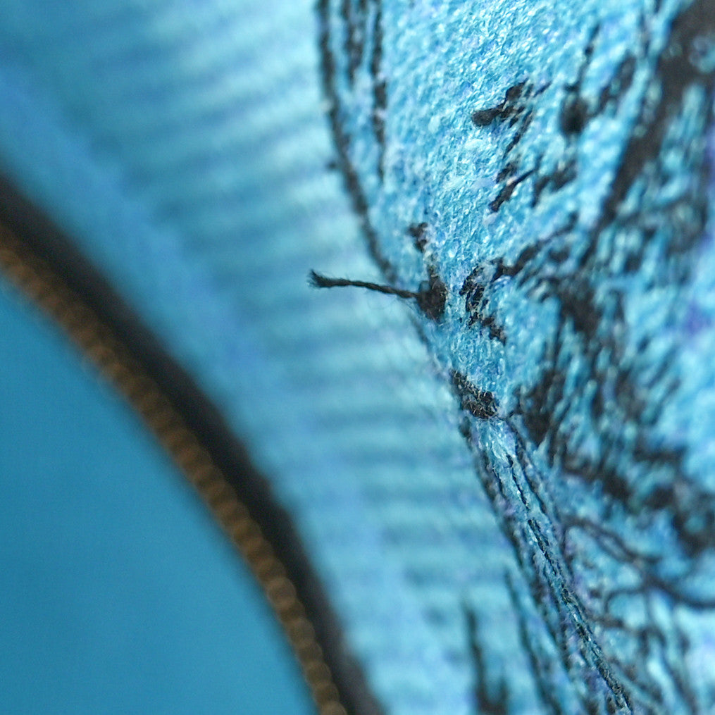 Canvas Toile de Jouy Voyage Embroidered Medium Lady D-Lite Celestial Blue