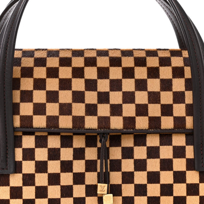 Louis Vuitton LOUIS VUITTON Damier Sauvage Lionne 7 of 13